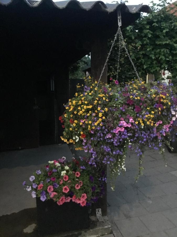 B&B In Ons Straatje Rosmalen Ngoại thất bức ảnh